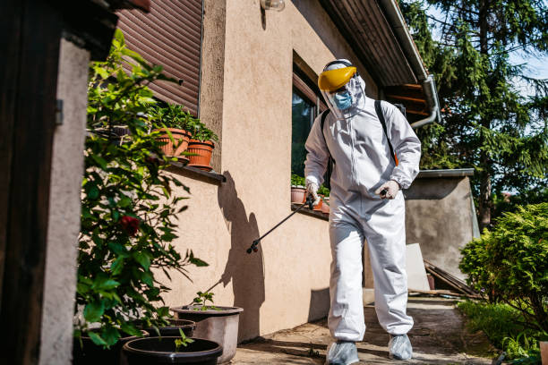 Best Best Pest Control Near Me  in De Graff, OH