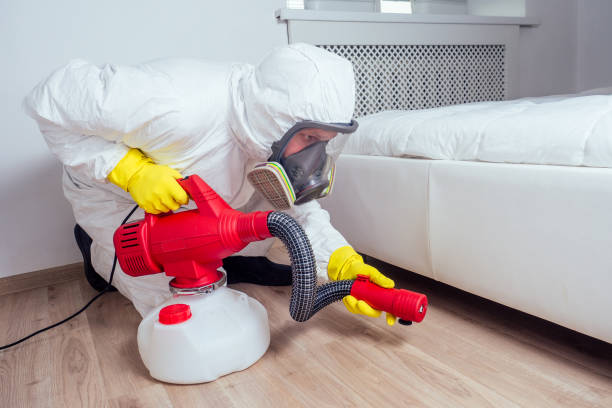 Best Cockroach Control Services  in De Graff, OH