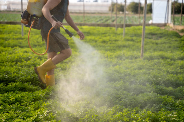 Best Best Pest Control Companies  in De Graff, OH