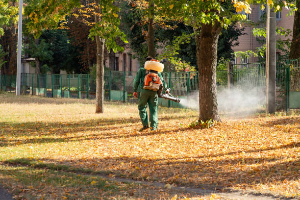 Best Bird Control  in De Graff, OH
