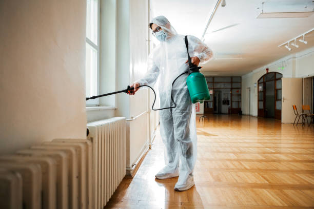 Best Termite Control Services  in De Graff, OH